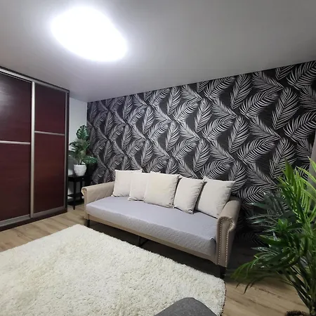 Apartment Newly Renovated Klaipeda