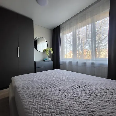 Newly Renovated Apartment Klaipeda