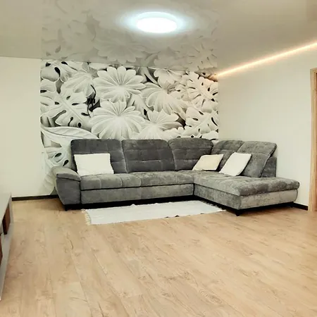 Newly Renovated Apartment Klaipeda