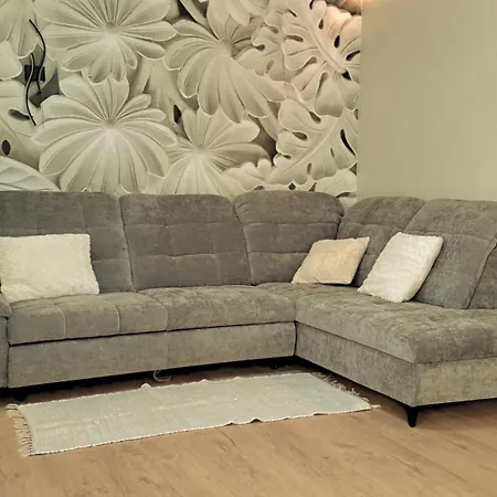 Newly Renovated Apartment Klaipeda